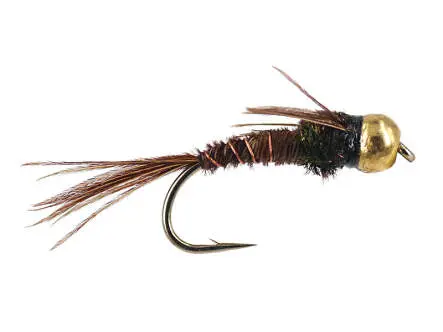 Peacock Pheasant Tail TG 10