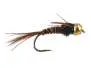 Peacock Pheasant Tail TG 12