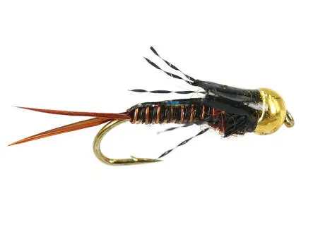 TG Epoxy Back Copper Stone 14
