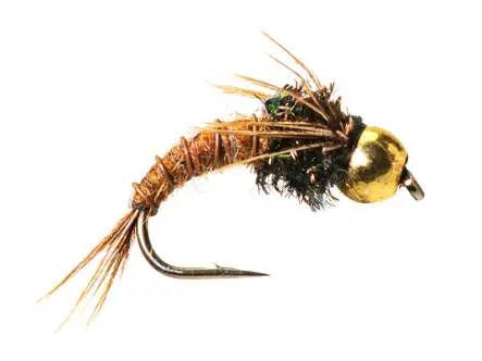 TG Pedros Catching Mayfly Nymph 16