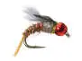 TG Downeys Master - Baetis 16