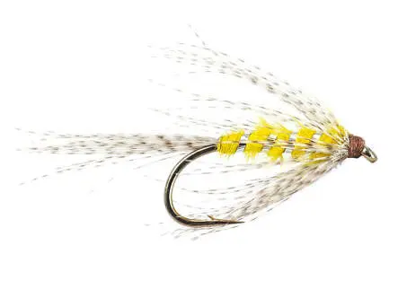 Gray Spider 12