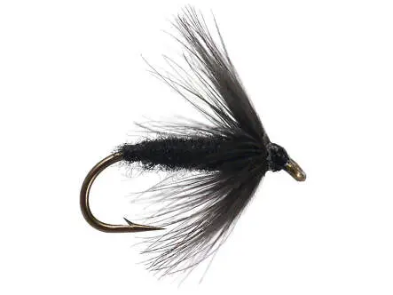 Black Spider 14