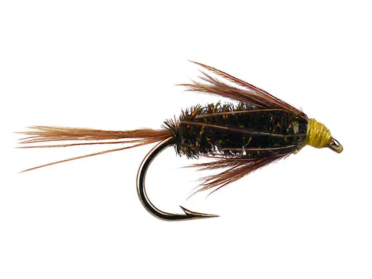 Carey Spezial Peacock 14