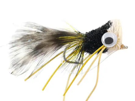 Froggy Popper 4