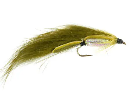 Olive Zonker 8