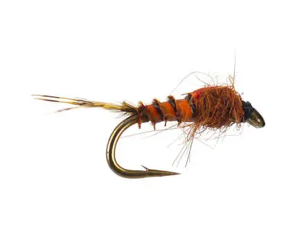 Olive Neanid Serie 01 - Brown-Red 18