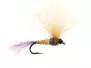 Bwo Emerger 02