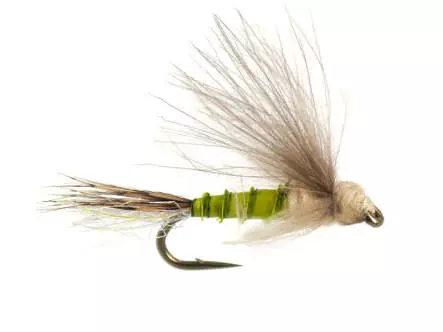 Bwo Transition Dun