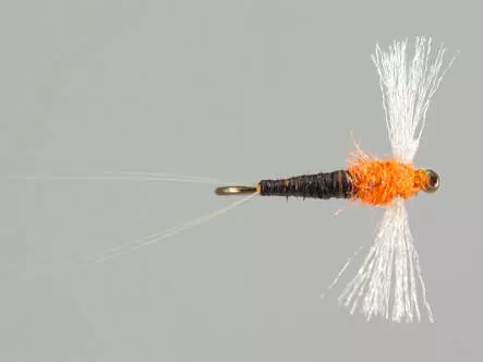 Bwo Spent Male