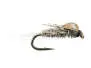 Caenis Nymph