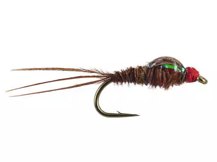 Pheasant Tail Nymph