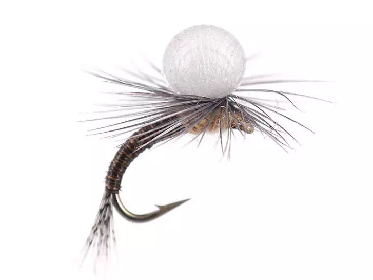 Olive Hatching Nymph - Tan