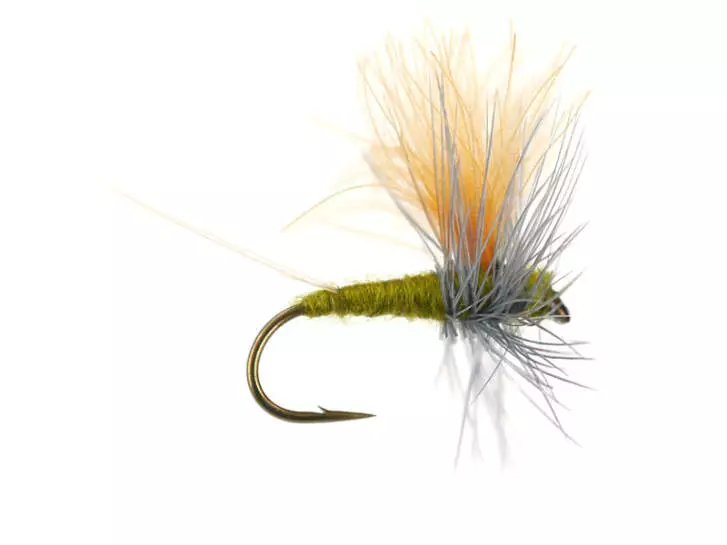 Olive Dun Cut Thorax - Medium Olive
