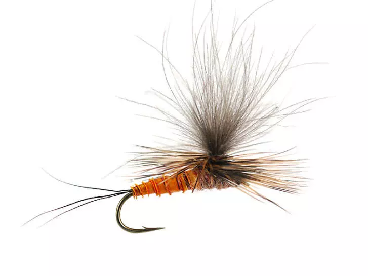 H-Dun Parachute - Brown-Yellowish