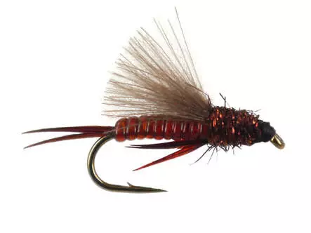 L-Surface Nymph