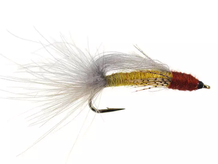 S6 Transition Caddis - Amber