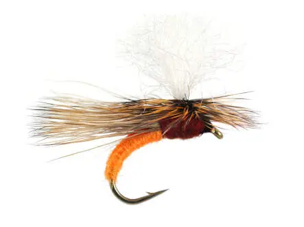 S10 Transition Fast Water - Orange