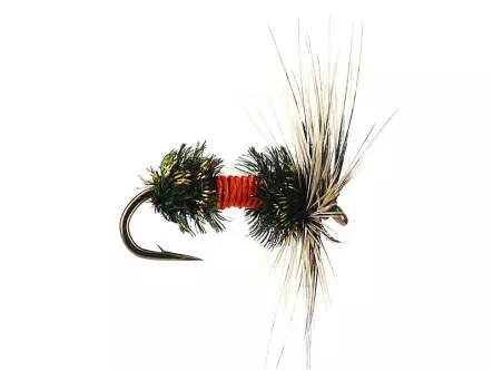G4 Grayling Fancy