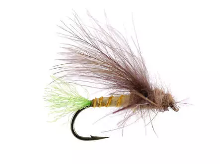 G6 Grayling Sedge - Green Tail