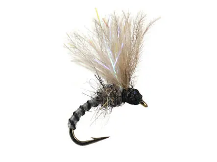 Caenis Emerger 01 22