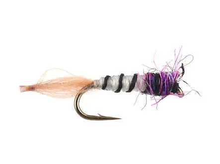 Caenis Transition Dun 24