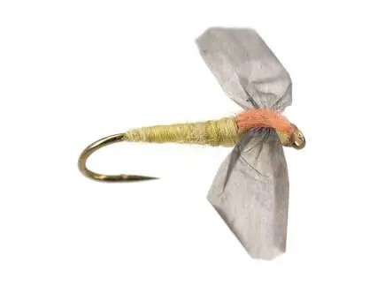 Olive Cripple - Pale Olive 14