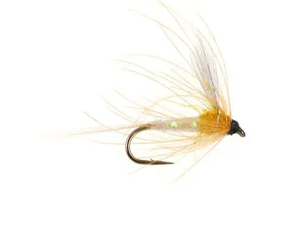 Olive Spinner - Amber 18