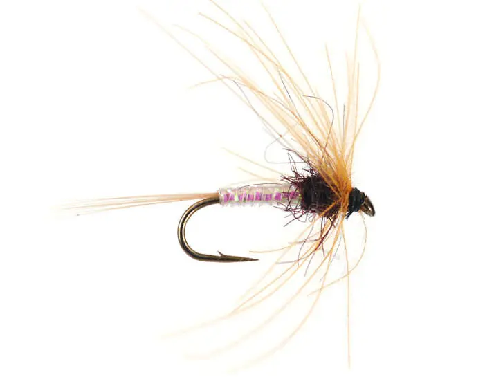 Olive Spinner - Dark Brown 16
