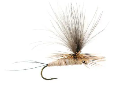 H-Dun Parachute - Tan-Yellowish 14