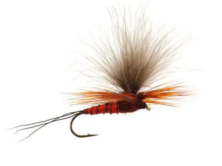 H-Dun Parachute - Brown-Reddish 14