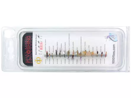 Set Baetidae (Olive - Medium Olive) - S - 16 moscas