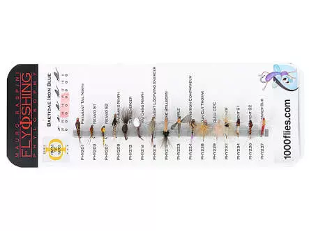 Set Baetidae (Olive - Iron Blue) - M - 16 moscas