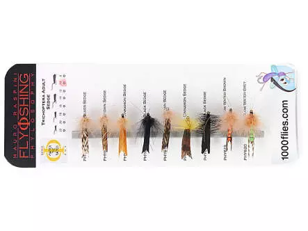 Set Trichoptera (Adult Sedge) - XL - 9 moscas
