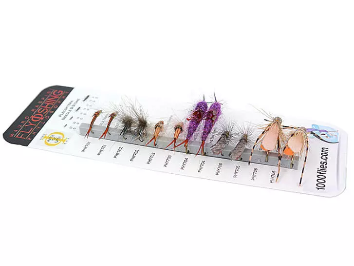 Set Plecoptera (Needle & Stone) - XXL - 12 moscas