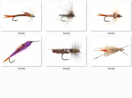 Set Plecoptera (Needle & Stone) - XXL - 12 moscas