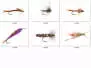 Set Plecoptera (Needle & Stone) - XXL - 12 moscas