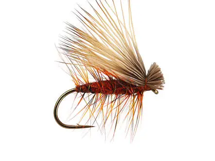 Red Superb Elk Hair Caddis 10