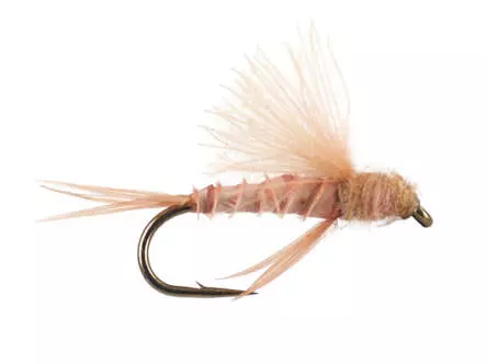 CDC Little Surface Nimph - Salmon