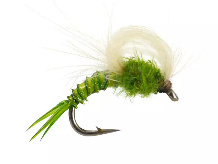 CDC Loopwing Emerger - Medium Olive