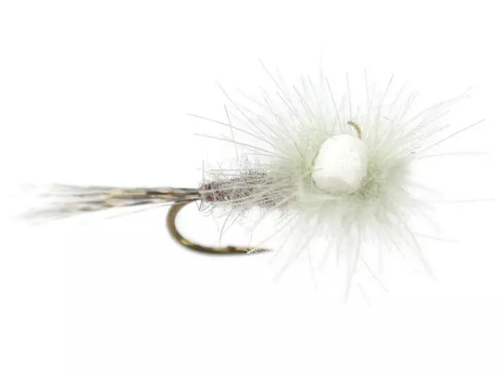 CDC Para Emerger