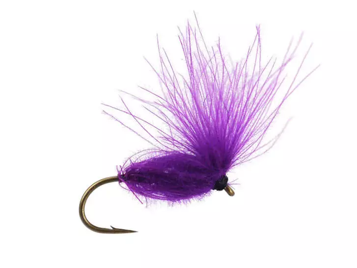 CDC Arpo - Violet
