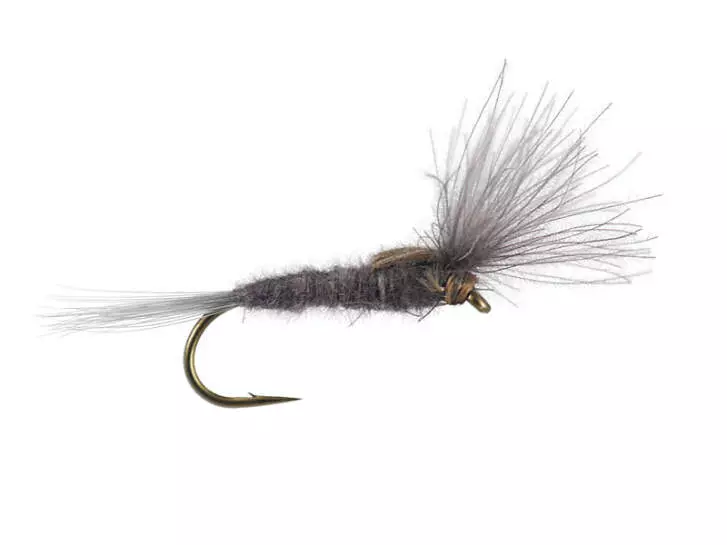 CDC Split Wing - Tan