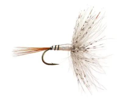 CDC Devaux 699