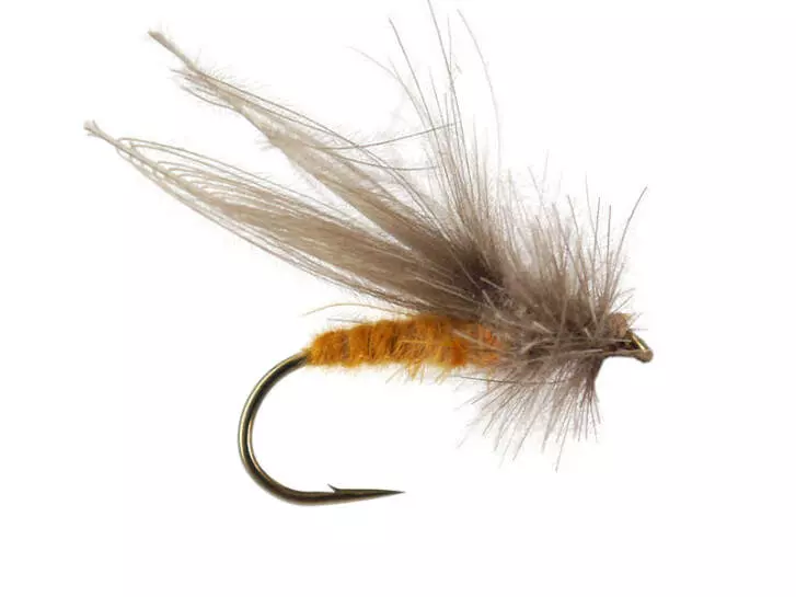 CDC Medium Stone Fly