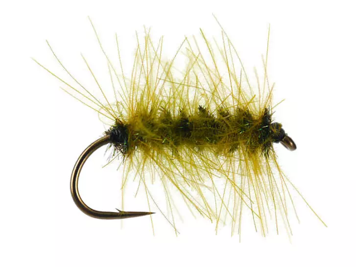 CDC Palmer