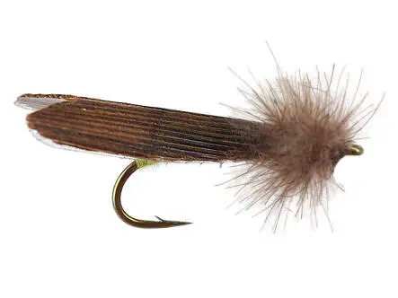 CDC Grannom 10