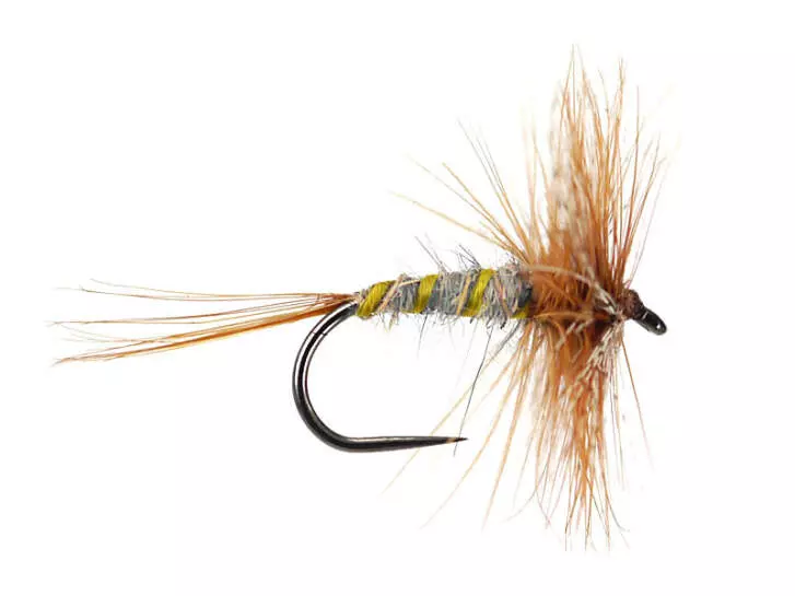 March Brown Classic BL