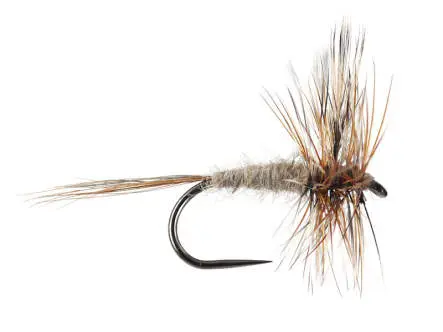 Adams BL 14