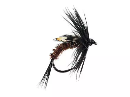 Pheasant JC Nymph BL